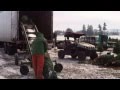 Loading Commercial Truck With Christmas Trees