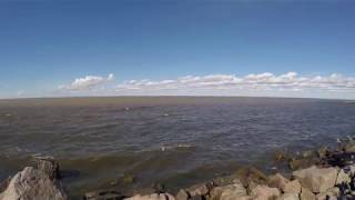 Ловля финский залив угорь