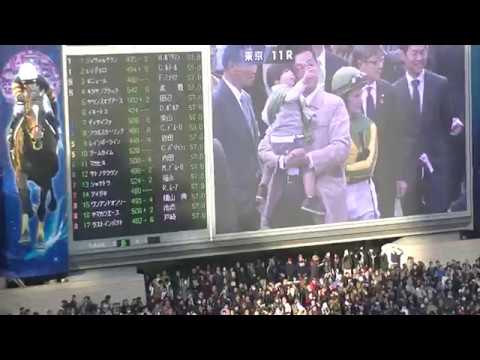 2017.11.26  東京競馬場 ジャパンカップ  Paddockの様子