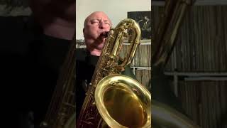 10MFAN INFUSION BARI SAX MOUTHPIECE—-“All the things you are”—Robert Anchipolovsky
