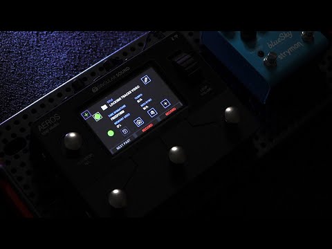 Singular Sound Aeros Loop Studio Stereo Looper Pedal Singular Sound Aeros Loop Studio Stereo Looper Pedal