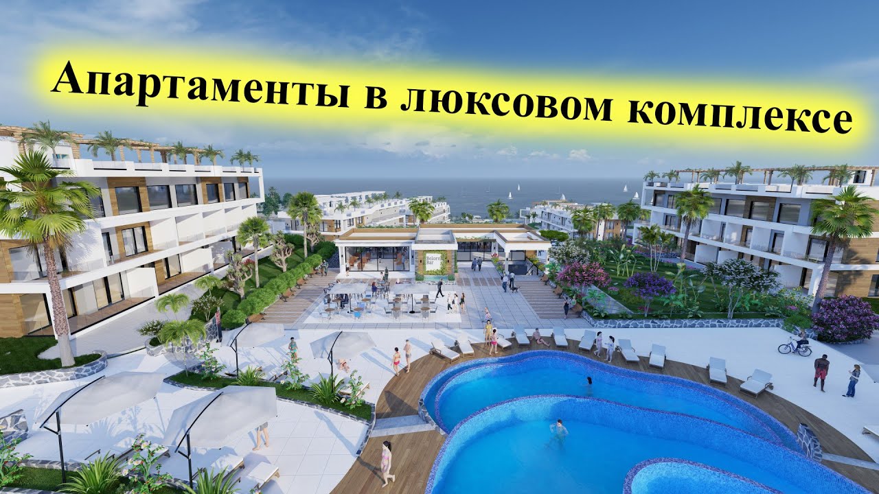 video image