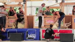 preview picture of video 'Le Dorat 2013 - Demi-finale Open 1ère série. Championnat international de tonte de moutons'
