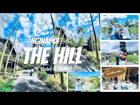 THE HILL HOTEL & RESORT SIBOLANGIT - REVIEW LENGKAP - HOTEL - MINI ZOO - AVIARY - PETTING ZOO