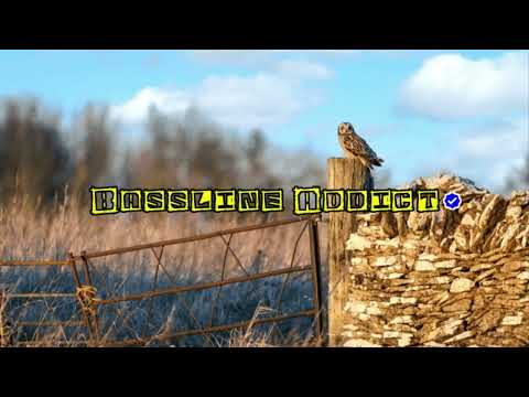 Aighy Vs. Adele - Someone Like You│BasslineAddict