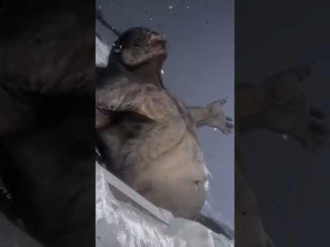 Metro Exodus - Fighting a blind gorilla #shorts