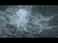 The Darcys - The River [Official Video] [Dir. Eric ...