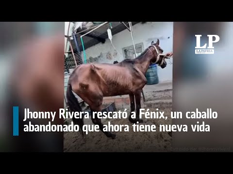Jhonny Rivera rescued Phoenix, an abandoned horse that now has a new life.