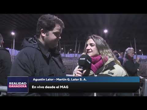 REALIDAD GANADERA - Agustin Lalor (16-07-25)