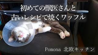 北欧で獣医さん初訪問/スウェーデンの古いレシピで焼くワッフル