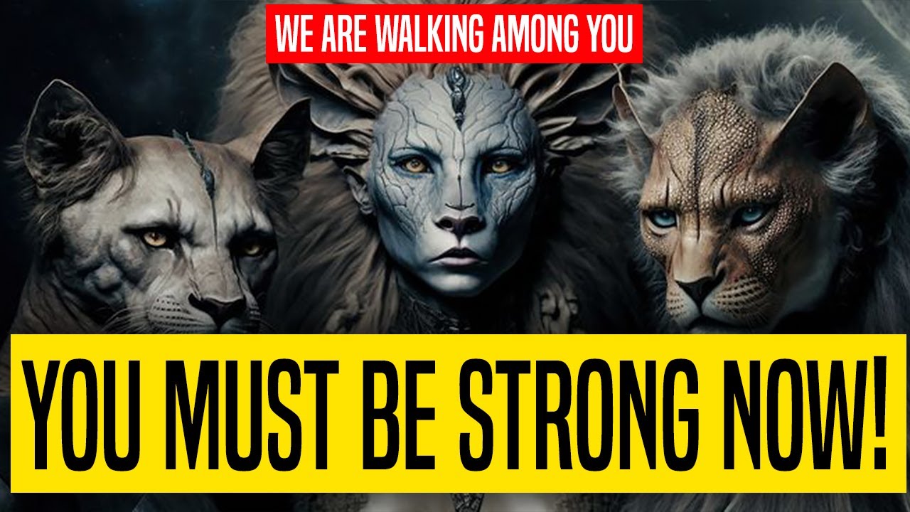 Our Most Important Message To Starseeds EVER..