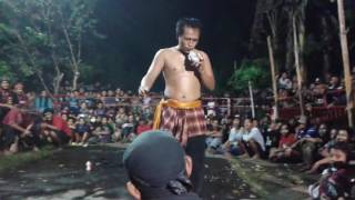 Download lagu ARDI MULAI BERAKSI Samboyo putro live bleton warujayeng mp3 Download lagu ARDI MULAI BERAKSI Samboyo putro live bleton warujayeng mp3