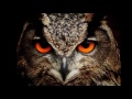 Night Owl iPhone ios Ringtone Remix by Delvin Udaiyan