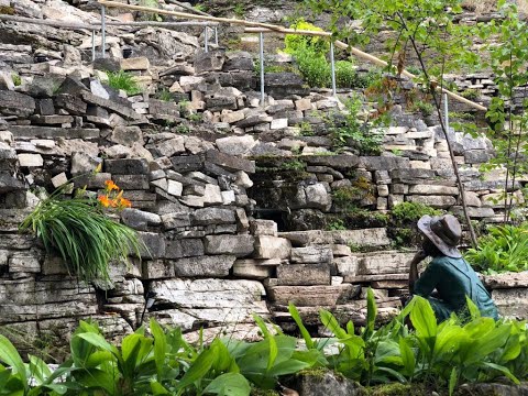 Guided Meditation Video