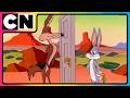Looney Tunes Wile E Coyote S Wildest Fails Animated Cartoon Best Cartoon Cnindia