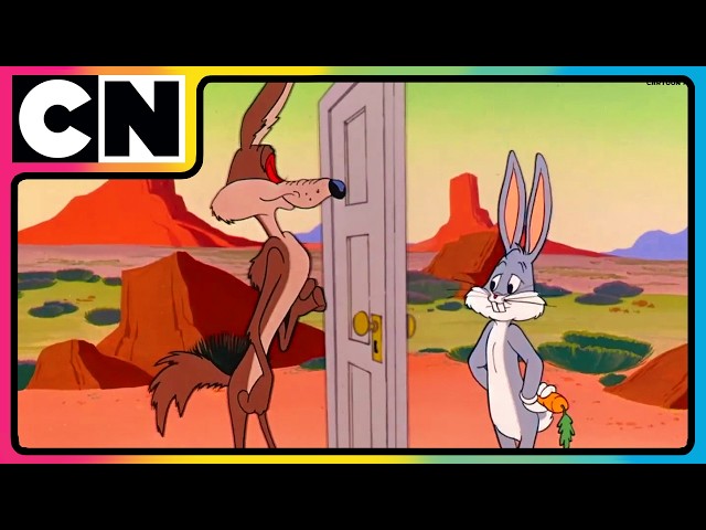 Looney Tunes ?| Wile E. Coyote’s Wildest Fails! | Animated Cartoon ?| Best Cartoon ?