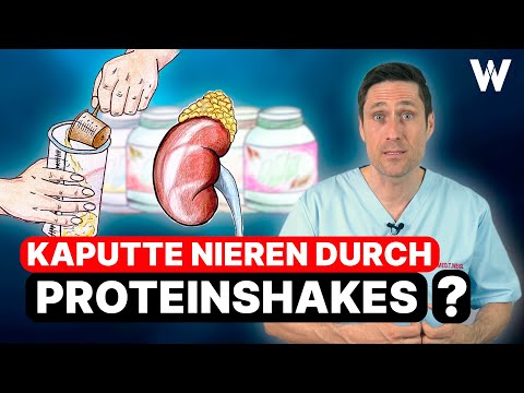 Kaputte Nieren durch Proteinshakes? Shakekonsum und die Folgen für Körper & Gesundheit! Limits!