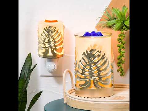 Die Scentsy Sommerkollektion 2022 ab 1.5. 9Uhr