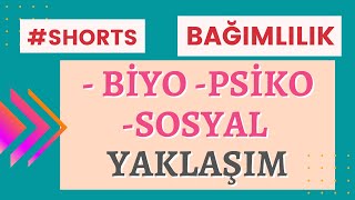 Bağımlılık modeli / Bağımlılık tedavisi nasıl olmalı / Bağımlılık tedavisi