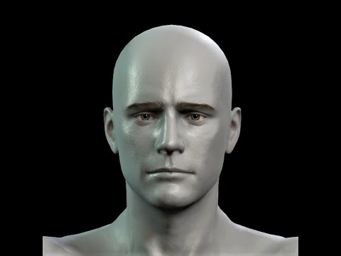 Face Animation Blender 3.0 BDT