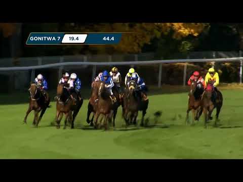 NAGRODA CRITERIUM – L (KAT. A) 29.10.2023 - (Dzień 42; Gonitwa 7)