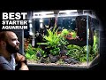 The Budget Aquarium Setup You Cannot Miss