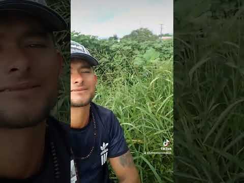 por san salvador de Jujuy