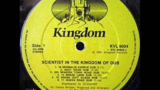 SCIENTIST - GUAVA ROAD DUB