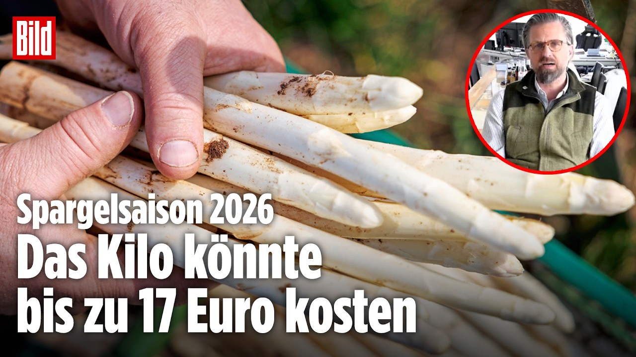 Spargelsaison 2026: Warum ein Kilo bis zu 17 Euro kosten könnte