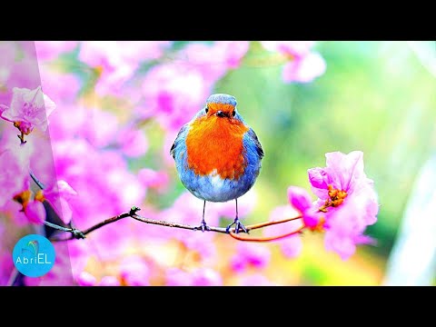 Muzica Terapeutica de Relaxare - Curata si Echilibreaza Complet Toate Energiile