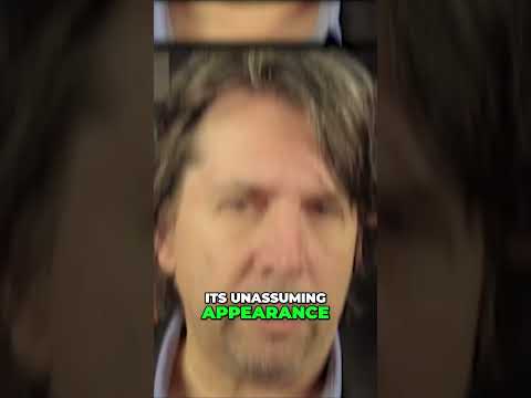 The Dybbuk Box Unleashing the Malevolent Entity #shorts