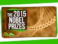 The 2015 Nobel Prizes