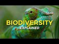 What Is Biodiversity Eco Facts One Tree Planted