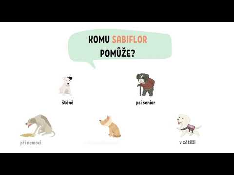 SABIFLOR pomáhá psům při stresu, zátěži a po zraněních