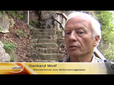 Forchheim Stadt und Land - Wiesenttal (TV Oberfranken)