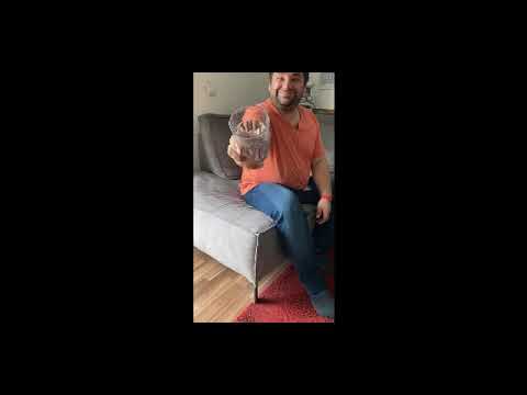 Magsch au was saufen? | D´r Kerle