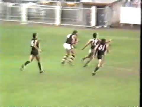 1988 Round 6 Carlton Vs St Kilda at Princes park & Footscray Vs Richmond brief hlts  2 mins arter &