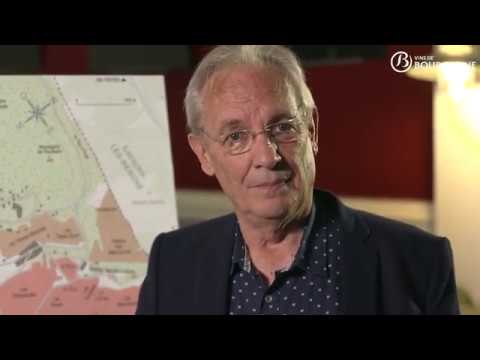 The Beaune appellation investigated through its geology and geography