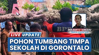 Insiden Pohon Tumbang di SDN 48 Gorontalo, Bangunan Sekolah Rusak hingga Ganggu Akses Warga