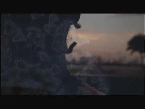 LOFTY305 x EYEDRESS - I Believe In Love filmed by @rhymesight #HAUNTEDCLOTHES3 [RARE VID 2013]