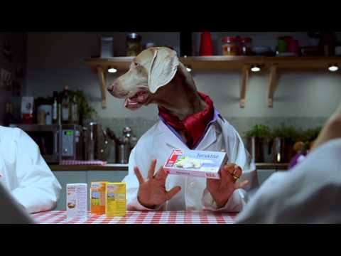 ICA reklamfilm 2011 v.42 - Vilket Hundliv