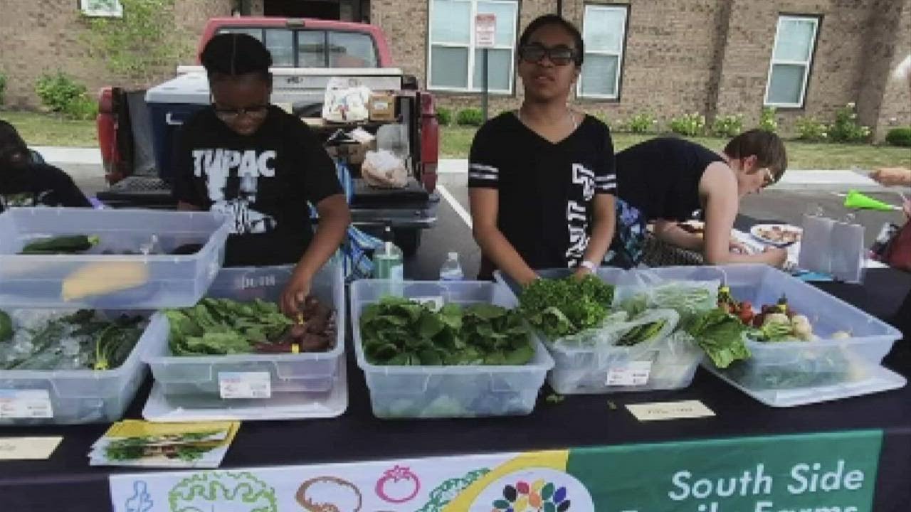 Urban farming combats food deserts in South Side community