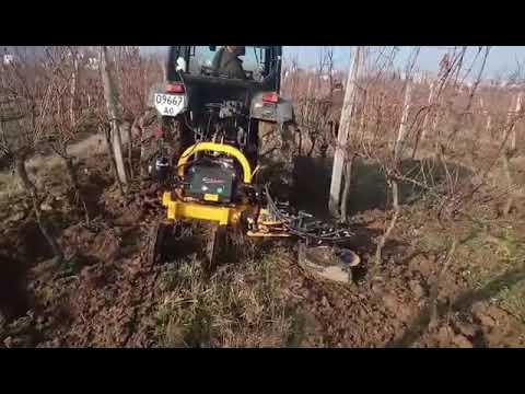 Orizzonti Mira 🇺🇦🇮🇹