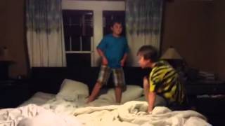 Fighting wombats 2!!!!