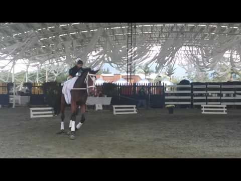 20161203 - CAMPEONATO NACIONAL DE VAULTING CLUB LLANOGRANDE - OBLIGATORIOS DOBLES D REDUCIDA