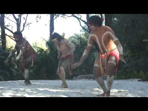 Australian Aboriginal Crane Dance