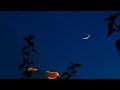 Hey Poova Poova Poova Poova Siripalea WhatsApp Status Amali Thumali Hsb Musicals
