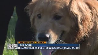 2016 Mega March for Animals