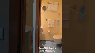 9203 Carnival Vista oceanview