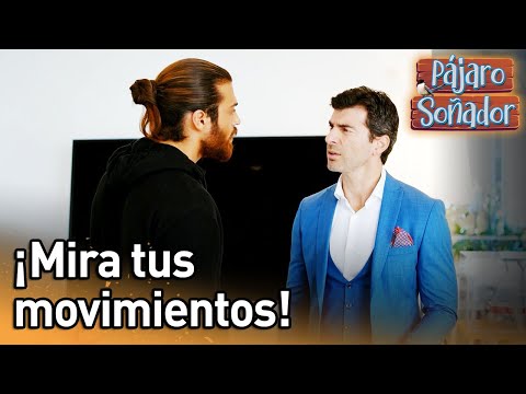 ¡Mira tus movimientos! | Pájaro soñador | (Audio Español) Erkenci Kus